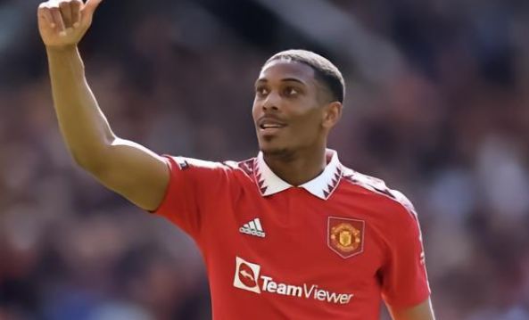 训练中提供 训练中提供