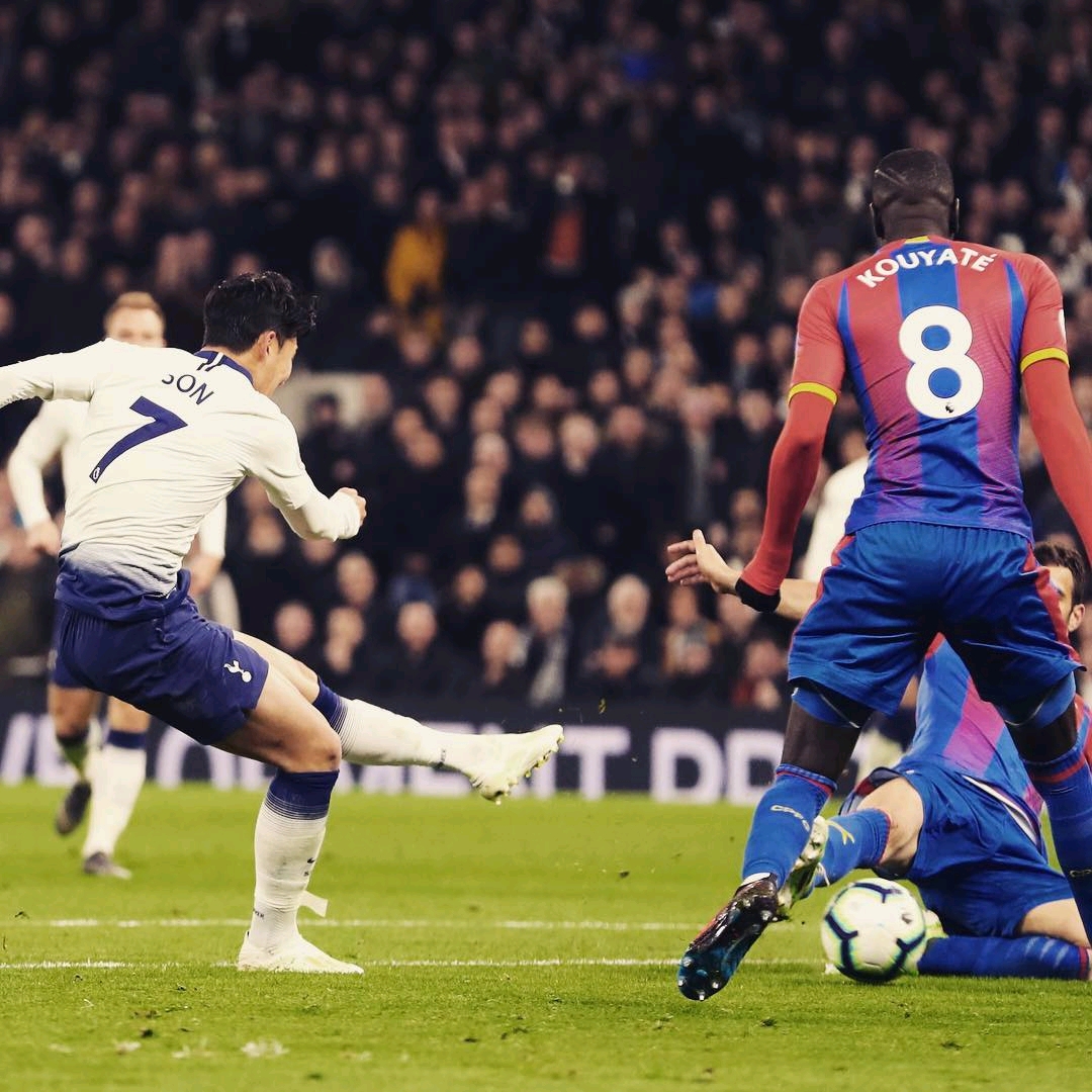 都可能影响 都可能影响